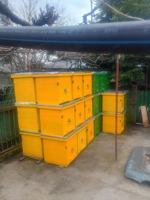 vând stupi noi lăzi de albine pe 10 rame cu cat de1 2 prețul de vânzare 200 de lei tel   în