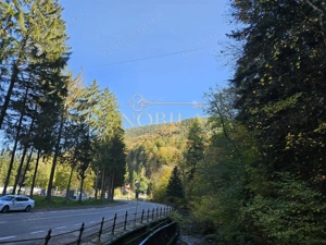 PENSIUNE 2 MARGARETE  DE VANZARE in STATIUNEA MONTANA SLANIC MOLDOVA - imagine 8