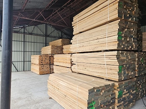 Vindem cherestea de stejar uscată în uscător 