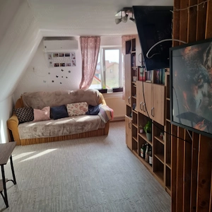 Chirie apartament 2 camere pet friendly - imagine 6