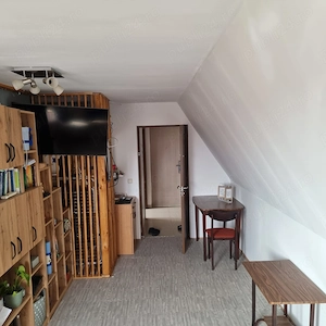 Chirie apartament 2 camere pet friendly - imagine 4