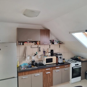 Chirie apartament 2 camere pet friendly - imagine 5