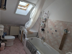 Chirie apartament 2 camere pet friendly