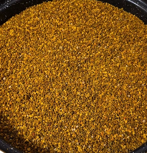 Vand polen crud,primavara 2026