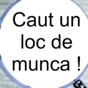     Caut loc de munca stabil   