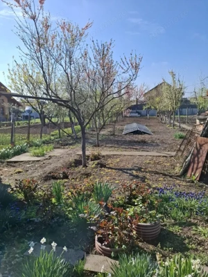 Sanandrei - Casa 5 Camere - Vatra Satului -Teren generos