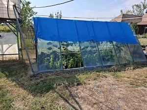 Se vinde casă + teren generos în comuna Acîș (aprox. 38 km de Satu Mare) - imagine 5