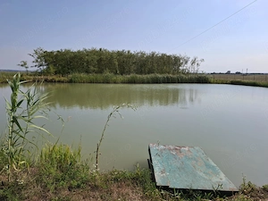 Se vinde casă + teren generos în comuna Acîș (aprox. 38 km de Satu Mare) - imagine 3