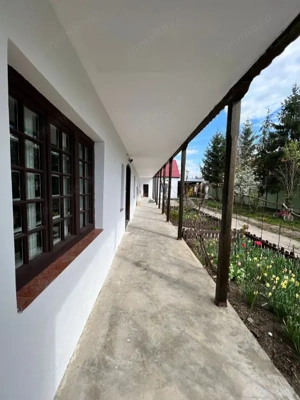 Comision 0 - Centru - Sanandrei - Casa renovata + teren 1850 mp - imagine 9