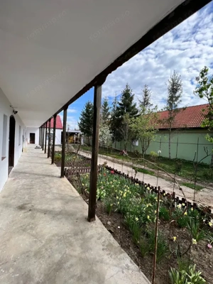 Comision 0 - Centru - Sanandrei - Casa renovata + teren 1850 mp - imagine 8