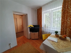 Decebal-Voronet, apartament tip studio, centrala proprie, mobilat-utilat, ideal investitie - imagine 8