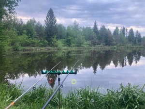 Pensiune - Restaurant - Cabanute - Lac pescuit - imagine 5