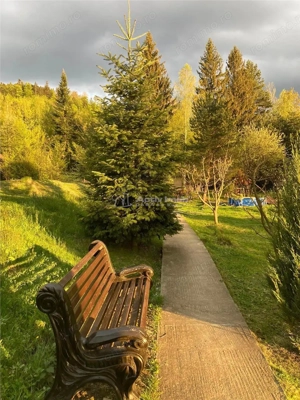 Pensiune - Restaurant - Cabanute - Lac pescuit - imagine 2