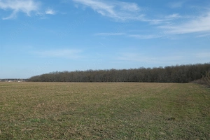 Ganeasa, cu pozitie exceptionala, langa lac, padure si vile 1075 mp. intravilan  - imagine 8