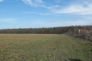 Ganeasa, cu pozitie exceptionala, langa lac, padure si vile 1075 mp. intravilan  - imagine 7