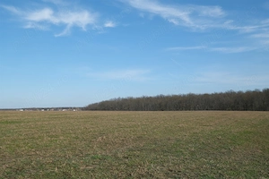 Ganeasa, cu pozitie exceptionala, langa lac, padure si vile 1075 mp. intravilan  - imagine 9