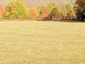 vand teren extravilan