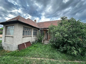 Casă cu teren generos de vânzare în Ianova (Remetea Mare)   129 mp + 1078 mp  - imagine 3