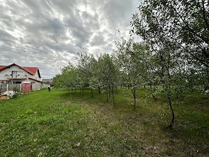 Casă cu teren generos de vânzare în Ianova (Remetea Mare)   129 mp + 1078 mp  - imagine 4