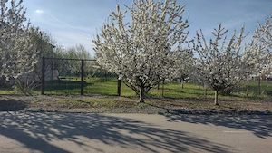 Vând teren construcție casă