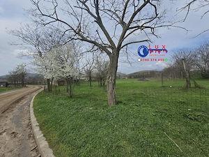 ID 6750 PROPRIETATE GENEROASĂ | Comuna Izvoarele | 3.700 MP teren - imagine 2
