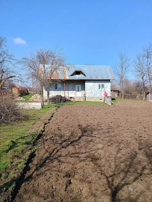 Teren de vanzare de 1966 mp cu casa 3 camere, com. Gheorghe Doja, jud. Ialomita - imagine 3