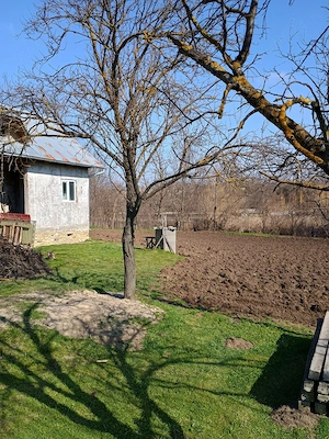 Teren de vanzare de 1966 mp cu casa 3 camere, com. Gheorghe Doja, jud. Ialomita
