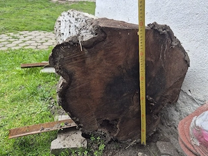 Vând lemn de nuc calitate superioară