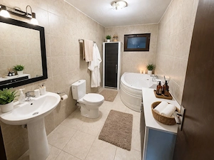 Casa tip duplex 100 mp, teren 240 mp, Selimbar - zona Dracula - imagine 7