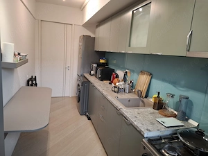 DIRECT proprietar: Ap. 2 camere in bloc nou, zona linistita, cu multa vegetatie. - imagine 8