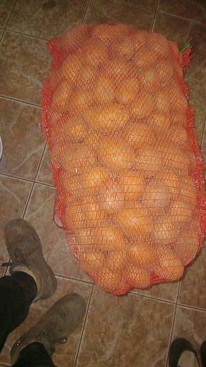 cartofi  consum sămnță sau animale