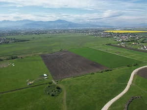Teren intravilan 8600mp intabulat - imagine 4