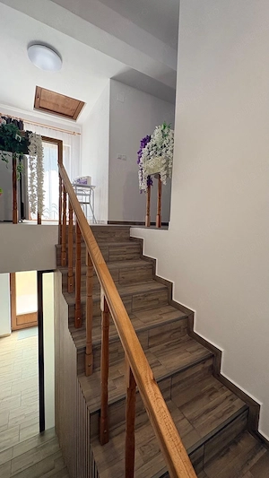 Cazare la curte,Baile-Herculane - imagine 4