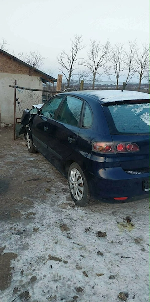 Dezmenbrez  - imagine 2