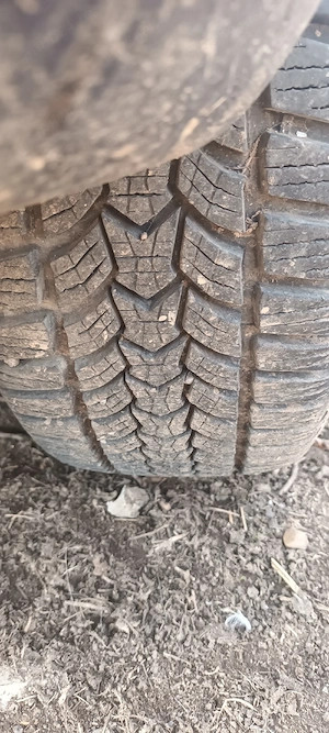 Dezmenbrez  - imagine 5