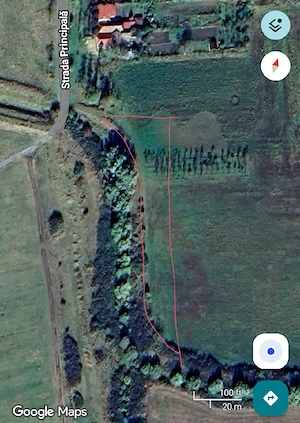 Casa cu gradina si teren extravilan in Mănăstire-Birda - imagine 4