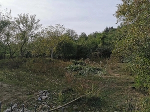 Casă Călimănești | comision0% | Locuință sau investiție | Se acceptă schimb cu apartament București - imagine 4