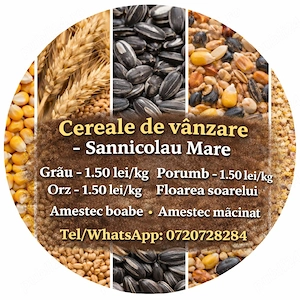 Porumb, Grau, Floare si amestec