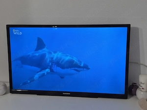 Telefunken 81 cm 2018