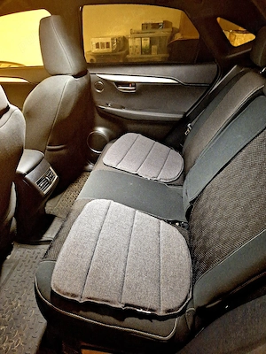  Lexus NX 300h F Sport Black Line Limited Edition, Alb perlat - imagine 7