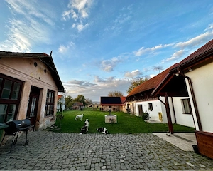  Proprietate unică, eficientă energetic (certificata nZEB)   ideală pentru locuire sau investiție - imagine 3