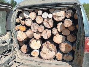    Lemn de foc la preț bun   esență tare, gata de folosit