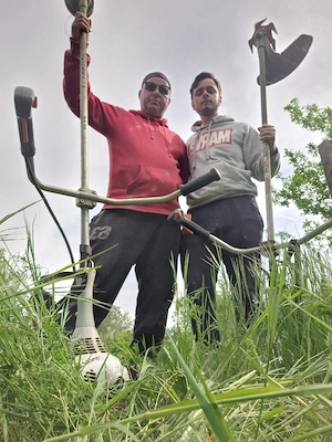 execut lucrari de intretinere