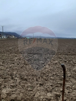 Teren 7,150mp Rasnov / Strada Glajeriei - imagine 5