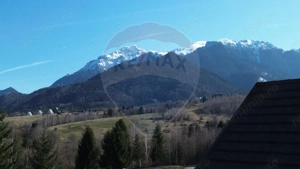 Ansamblu rezidențial cu casă principală și anexe, teren 1.487 mp