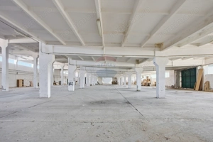 Spațiu industrial 4.4Ha Teren și 15.000mpc - Zona Industrială - Hârlău - imagine 4