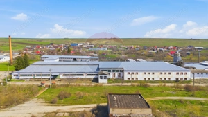 Spațiu industrial 4.4Ha Teren și 15.000mpc - Zona Industrială - Hârlău - imagine 15