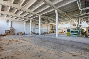 Spațiu industrial 4.4Ha Teren și 15.000mpc - Zona Industrială - Hârlău - imagine 10