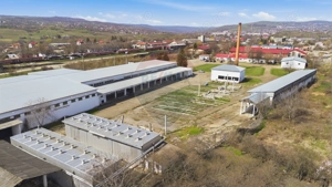 Spațiu industrial 4.4Ha Teren și 15.000mpc - Zona Industrială - Hârlău - imagine 14