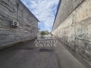 PLATFORMĂ INDUSTRIALĂ 3HA SILOZURI 50M ACCES CFR SÂNNICOLAU MARE - imagine 13